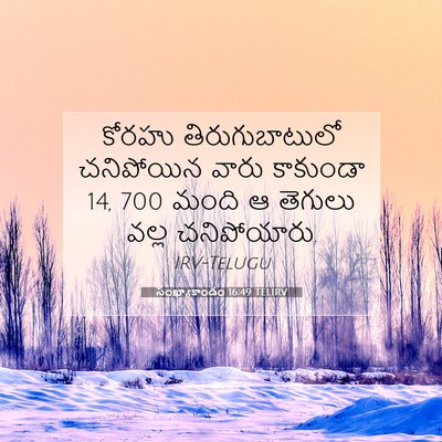 Picture 07 - సంఖ్యాకాండం 16:49 TELIRV - కోరహు - Bible Verse Picture