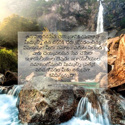 Picture 07 - సంఖ్యాకాండం 16:9 TELIRV - తన మందిరసేవ - Bible Verse Picture