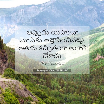Picture 07 - సంఖ్యాకాండం 17:11 TELIRV - అప్పుడు యెహోవా - Bible Verse Picture