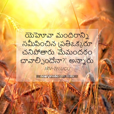 Picture 07 - సంఖ్యాకాండం 17:13 TELIRV - యెహోవా మందిరాన్ని - Bible Verse Picture
