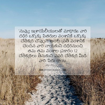Picture 07 - సంఖ్యాకాండం 17:2 TELIRV - “నువ్వు - Bible Verse Picture
