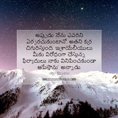 Picture 07 - సంఖ్యాకాండం 17:5 TELIRV - అప్పుడు నేను - Bible Verse Picture