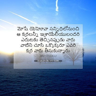 Picture 07 - సంఖ్యాకాండం 17:9 TELIRV - మోషే యెహోవా - Bible Verse Picture