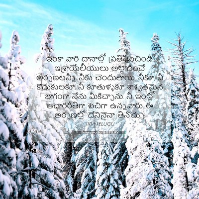 Picture 07 - సంఖ్యాకాండం 18:11 TELIRV - ఇంకా వారి - Bible Verse Picture