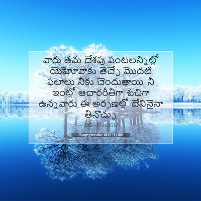 Picture 07 - సంఖ్యాకాండం 18:13 TELIRV - వారు తమ దేశపు - Bible Verse Picture