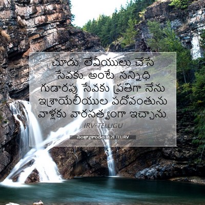 Picture 07 - సంఖ్యాకాండం 18:21 TELIRV - చూడు, లేవీయులు - Bible Verse Picture