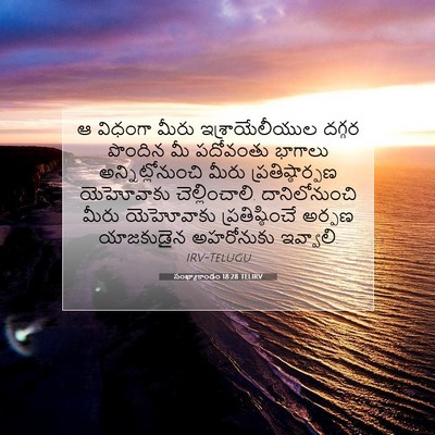 Picture 07 - సంఖ్యాకాండం 18:28 TELIRV - ఆ విధంగా మీరు - Bible Verse Picture
