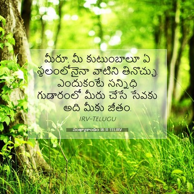Picture 07 - సంఖ్యాకాండం 18:31 TELIRV - మీరూ, మీ కుటుంబాలూ - Bible Verse Picture