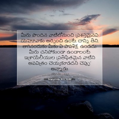 Picture 07 - సంఖ్యాకాండం 18:32 TELIRV - మీరు పొందిన - Bible Verse Picture