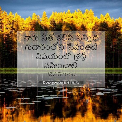 Picture 07 - సంఖ్యాకాండం 18:4 TELIRV - వారు నీతో కలిసి - Bible Verse Picture