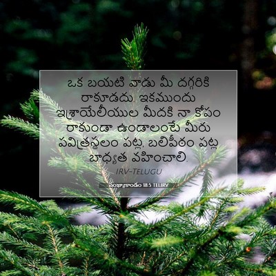 Picture 07 - సంఖ్యాకాండం 18:5 TELIRV - ఒక బయటి వాడు మీ - Bible Verse Picture