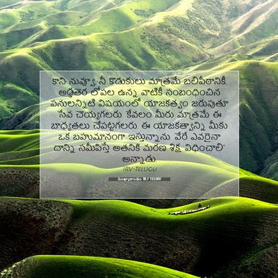 Picture 07 - సంఖ్యాకాండం 18:7 TELIRV - కాని నువ్వూ, నీ - Bible Verse Picture