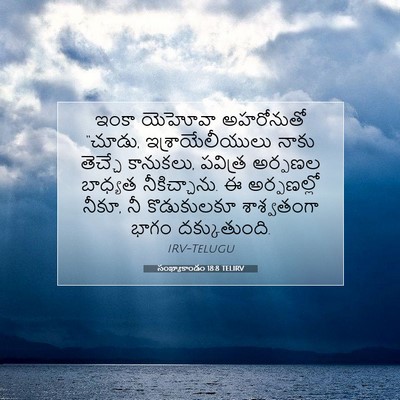 Picture 07 - సంఖ్యాకాండం 18:8 TELIRV - ఇంకా యెహోవా - Bible Verse Picture