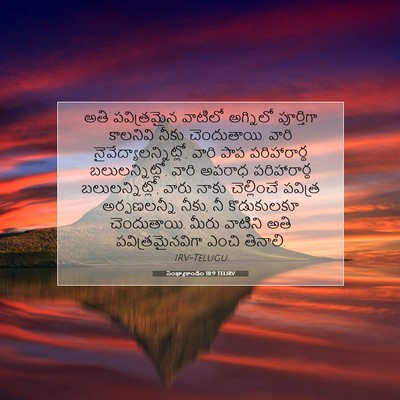 Picture 07 - సంఖ్యాకాండం 18:9 TELIRV - అతి పవిత్రమైన - Bible Verse Picture