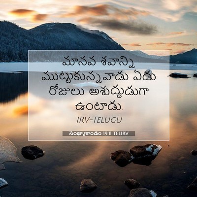 Picture 07 - సంఖ్యాకాండం 19:11 TELIRV - మానవ శవాన్ని - Bible Verse Picture