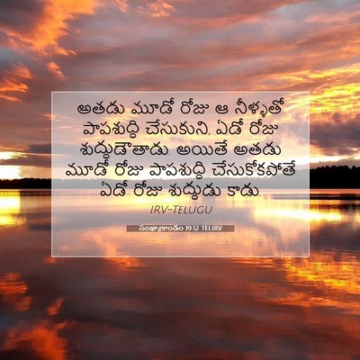 Picture 07 - సంఖ్యాకాండం 19:12 TELIRV - అతడు మూడో రోజు ఆ - Bible Verse Picture
