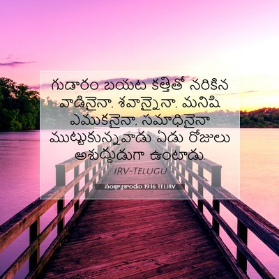 Picture 07 - సంఖ్యాకాండం 19:16 TELIRV - గుడారం బయట - Bible Verse Picture