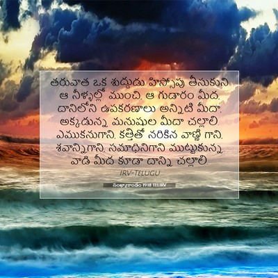 Picture 07 - సంఖ్యాకాండం 19:18 TELIRV - తరువాత ఒక - Bible Verse Picture