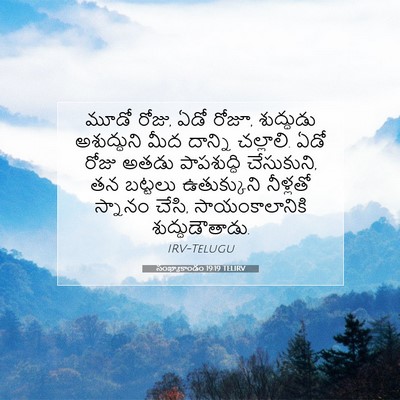 Picture 07 - సంఖ్యాకాండం 19:19 TELIRV - మూడో రోజు, ఏడో - Bible Verse Picture