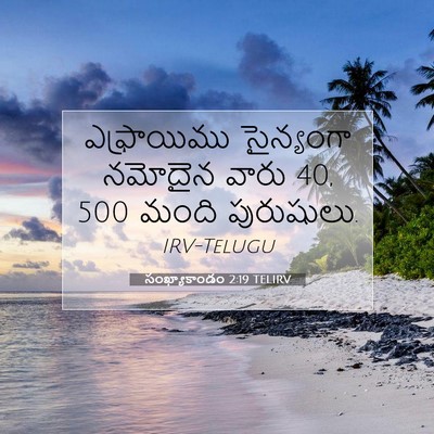 Picture 07 - సంఖ్యాకాండం 2:19 TELIRV - ఎఫ్రాయిము - Bible Verse Picture