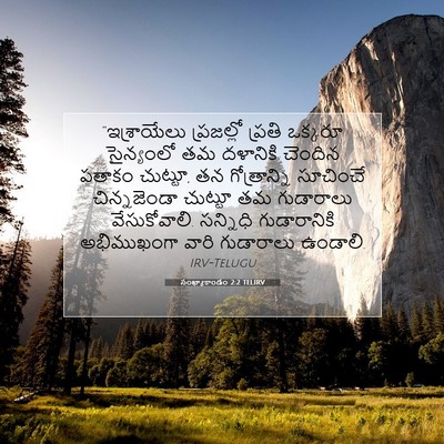 Picture 07 - సంఖ్యాకాండం 2:2 TELIRV - “ఇశ్రాయేలు - Bible Verse Picture