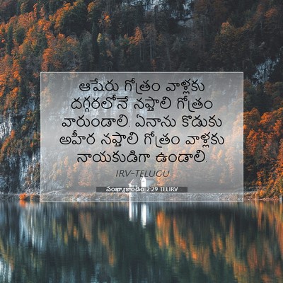 Picture 07 - సంఖ్యాకాండం 2:29 TELIRV - ఆషేరు గోత్రం - Bible Verse Picture