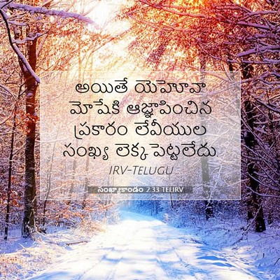 Picture 07 - సంఖ్యాకాండం 2:33 TELIRV - అయితే యెహోవా - Bible Verse Picture