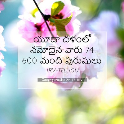 Picture 07 - సంఖ్యాకాండం 2:4 TELIRV - యూదా దళంలో నమోదైన - Bible Verse Picture