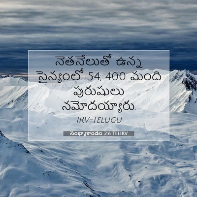 Picture 07 - సంఖ్యాకాండం 2:6 TELIRV - నెతనేలుతో ఉన్న - Bible Verse Picture