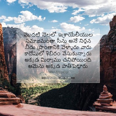 Picture 07 - సంఖ్యాకాండం 20:1 TELIRV - మొదటి నెలలో - Bible Verse Picture