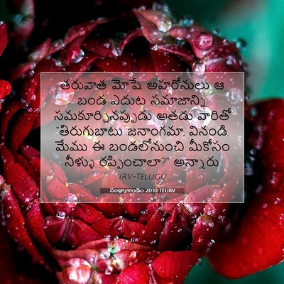Picture 07 - సంఖ్యాకాండం 20:10 TELIRV - తరువాత మోషే - Bible Verse Picture