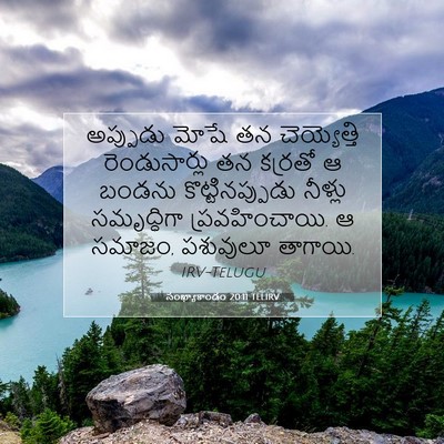 Picture 07 - సంఖ్యాకాండం 20:11 TELIRV - అప్పుడు మోషే తన - Bible Verse Picture