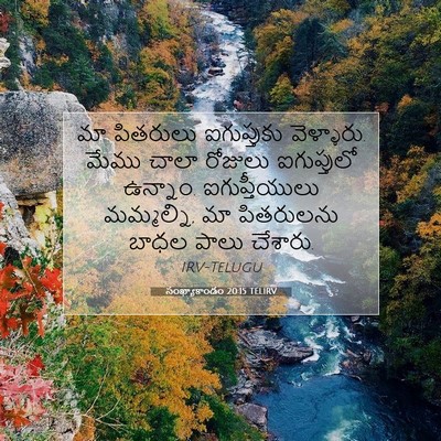 Picture 07 - సంఖ్యాకాండం 20:15 TELIRV - మా పితరులు - Bible Verse Picture