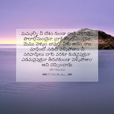 Picture 07 - సంఖ్యాకాండం 20:17 TELIRV - మమ్మల్ని నీ దేశం - Bible Verse Picture