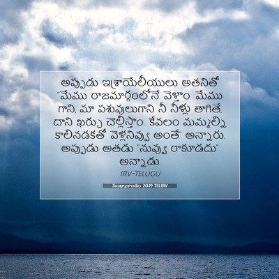 Picture 07 - సంఖ్యాకాండం 20:19 TELIRV - అప్పుడు - Bible Verse Picture