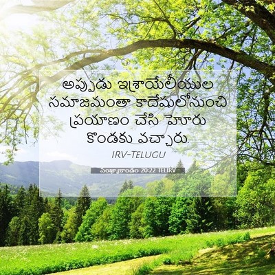 Picture 07 - సంఖ్యాకాండం 20:22 TELIRV - అప్పుడు - Bible Verse Picture