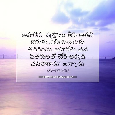 Picture 07 - సంఖ్యాకాండం 20:26 TELIRV - అహరోను వస్త్రాలు - Bible Verse Picture