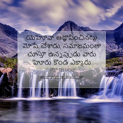 Picture 07 - సంఖ్యాకాండం 20:27 TELIRV - యెహోవా - Bible Verse Picture