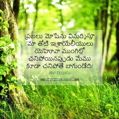Picture 07 - సంఖ్యాకాండం 20:3 TELIRV - ప్రజలు మోషేను - Bible Verse Picture
