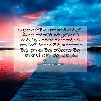 Picture 07 - సంఖ్యాకాండం 20:5 TELIRV - ఈ భయంకరమైన - Bible Verse Picture