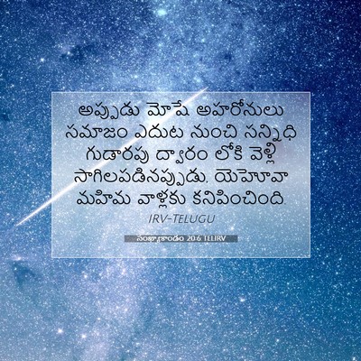 Picture 07 - సంఖ్యాకాండం 20:6 TELIRV - అప్పుడు మోషే - Bible Verse Picture