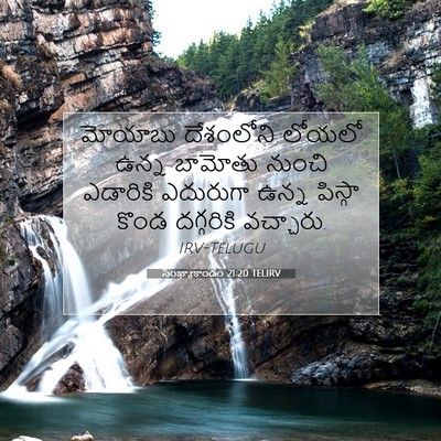 Picture 07 - సంఖ్యాకాండం 21:20 TELIRV - మోయాబు దేశంలోని - Bible Verse Picture