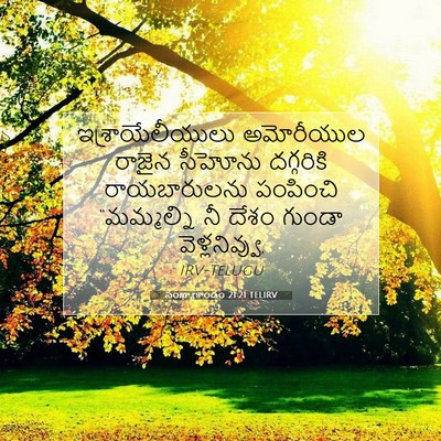 Picture 07 - సంఖ్యాకాండం 21:21 TELIRV - ఇశ్రాయేలీయులు - Bible Verse Picture