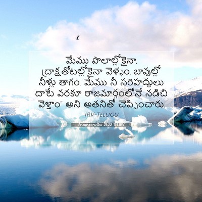 Picture 07 - సంఖ్యాకాండం 21:22 TELIRV - మేము - Bible Verse Picture