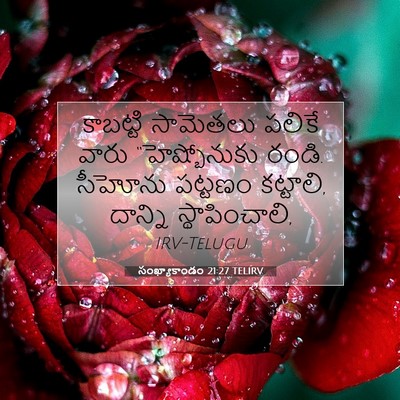 Picture 07 - సంఖ్యాకాండం 21:27 TELIRV - కాబట్టి సామెతలు - Bible Verse Picture