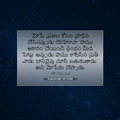 Picture 07 - సంఖ్యాకాండం 21:8 TELIRV - మోషే ప్రజల కోసం - Bible Verse Picture