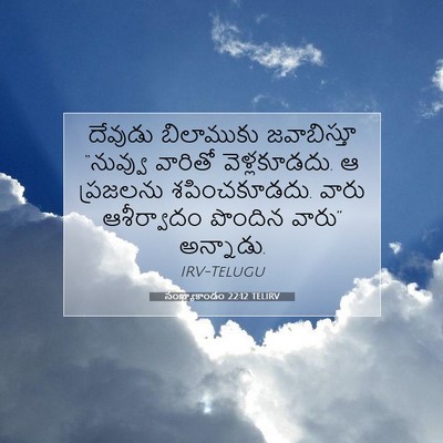 Picture 07 - సంఖ్యాకాండం 22:12 TELIRV - దేవుడు బిలాముకు - Bible Verse Picture