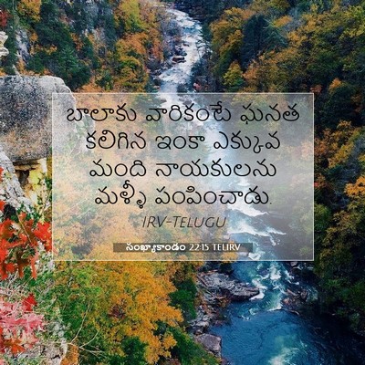 Picture 07 - సంఖ్యాకాండం 22:15 TELIRV - బాలాకు వారికంటే - Bible Verse Picture