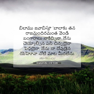 Picture 07 - సంఖ్యాకాండం 22:18 TELIRV - బిలాము జవాబిస్తూ - Bible Verse Picture