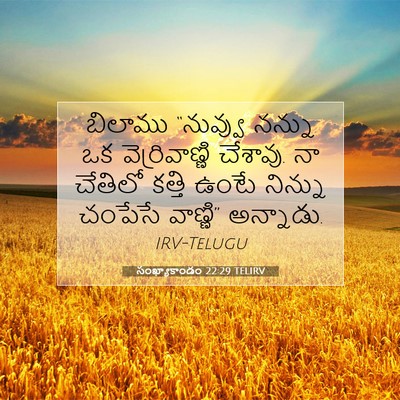 Picture 07 - సంఖ్యాకాండం 22:29 TELIRV - బిలాము “నువ్వు - Bible Verse Picture